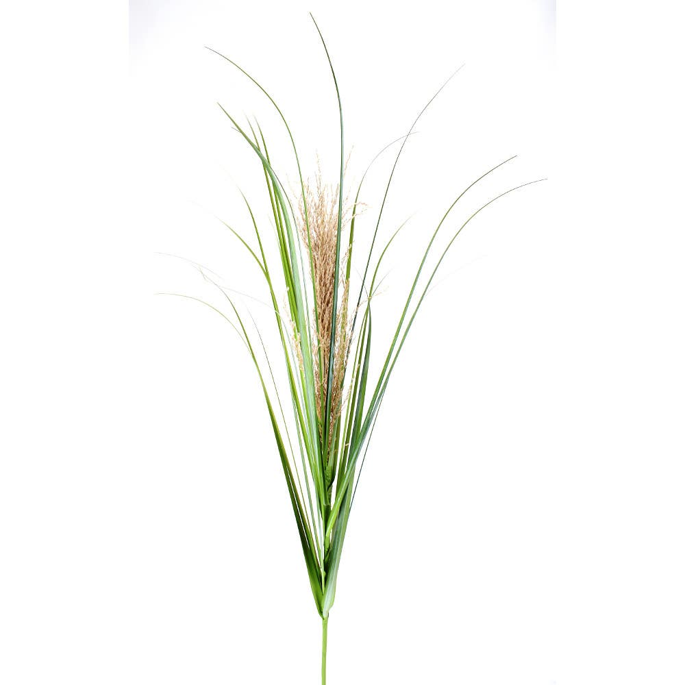54 Green/Natural Seagrass Stem