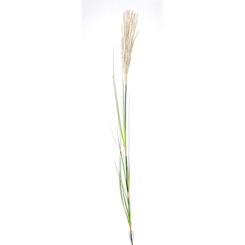 45 Natural Pampas Grass Branch