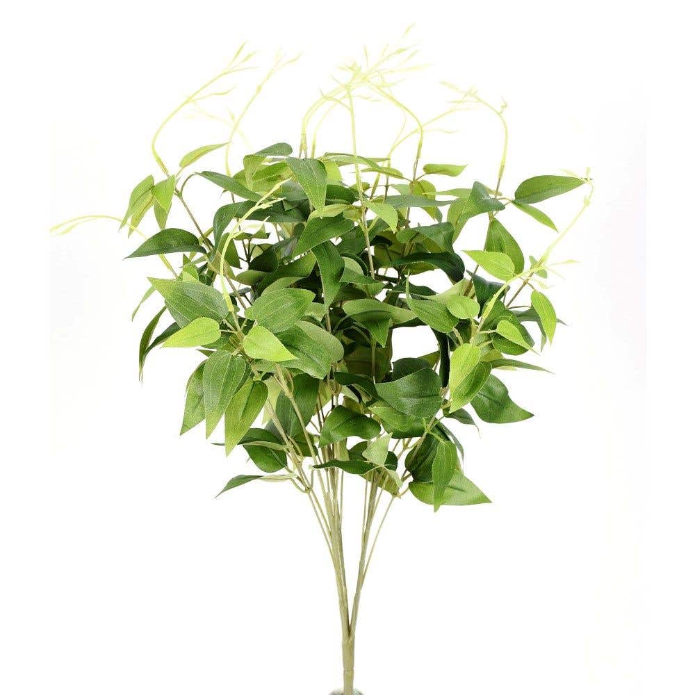 23 Green Jasmine Bush, 15-Pack