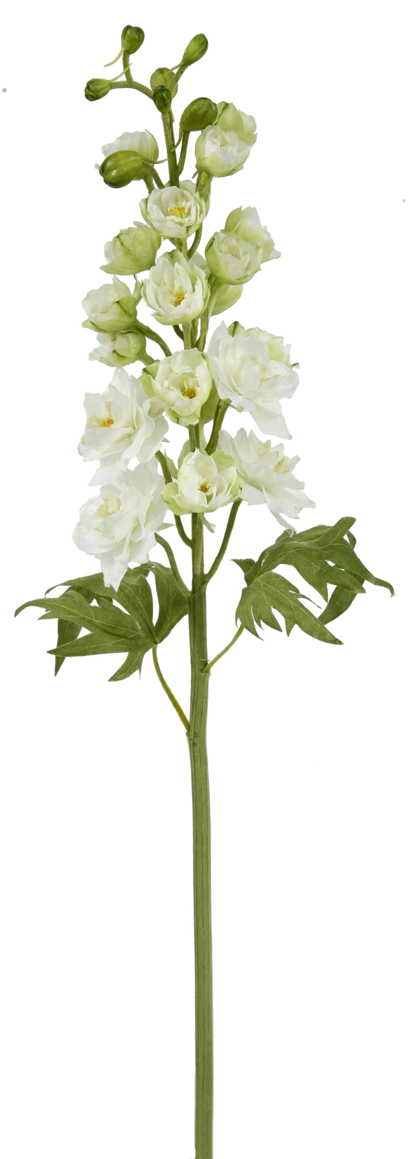 23 White Delphinium Stem