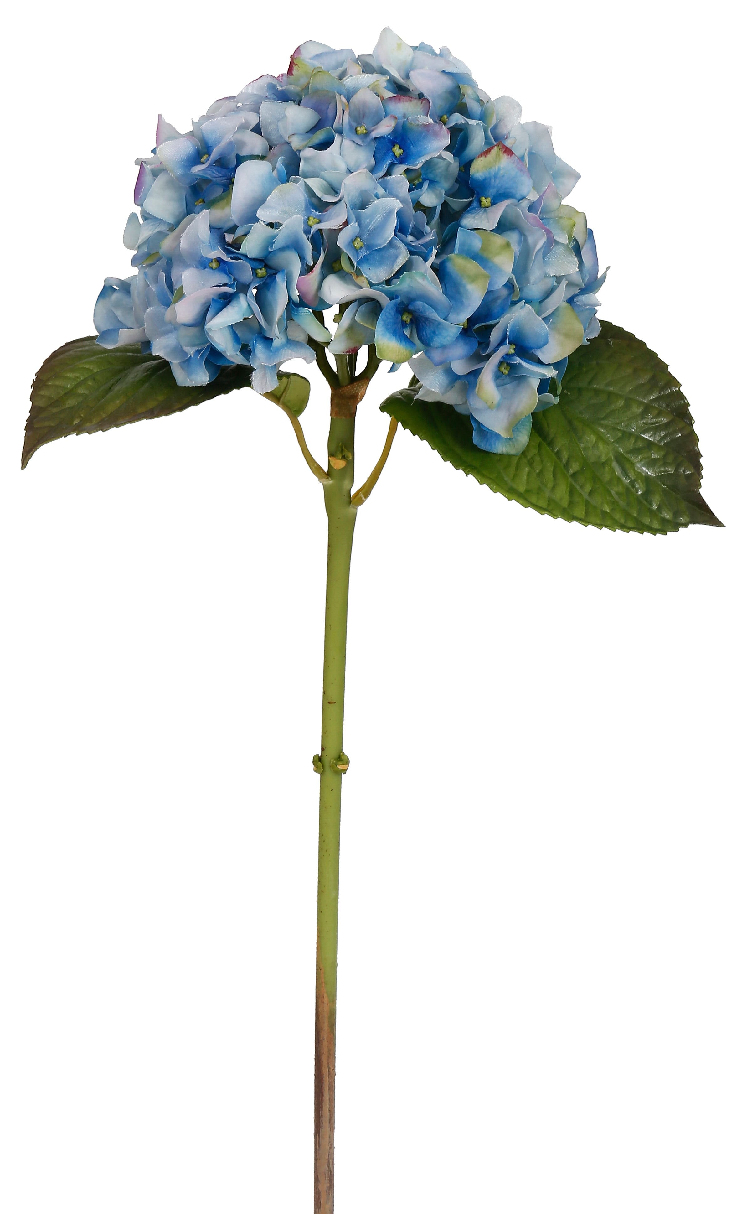 18 Light Blue Hydrangea Stem
