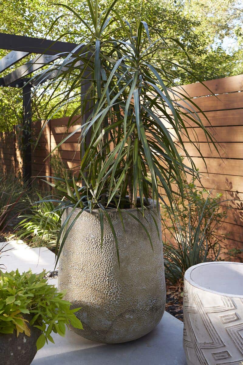 21.5 x 25.5 Green Ellwyn Planter