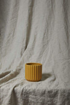 4.75 x 4.5 Beam Ceramic Pot, 24-Case