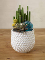 4.75 x 4.5 Ginny White Ceramic Pots, 24