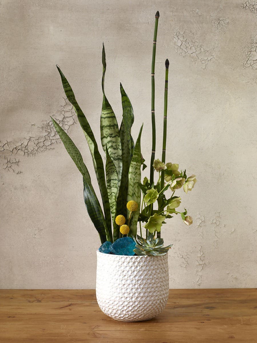 6.75 x 6.5 Ginny White Ceramic Pots, 8