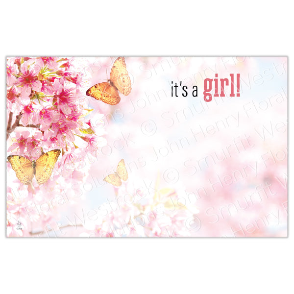 Baby Girl Butterflies, 50-Pack