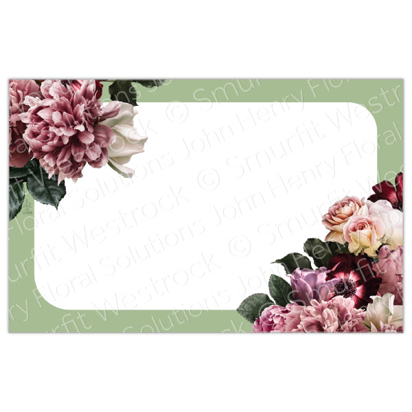 Capri No Sentiment Sage Border, 50-Pack