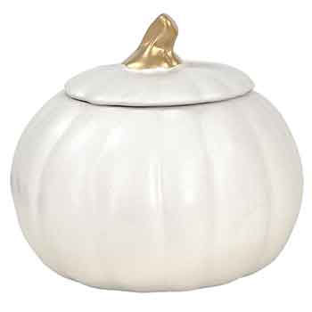 6" MATTE WHT PUMPKIN CRMC POT          ~