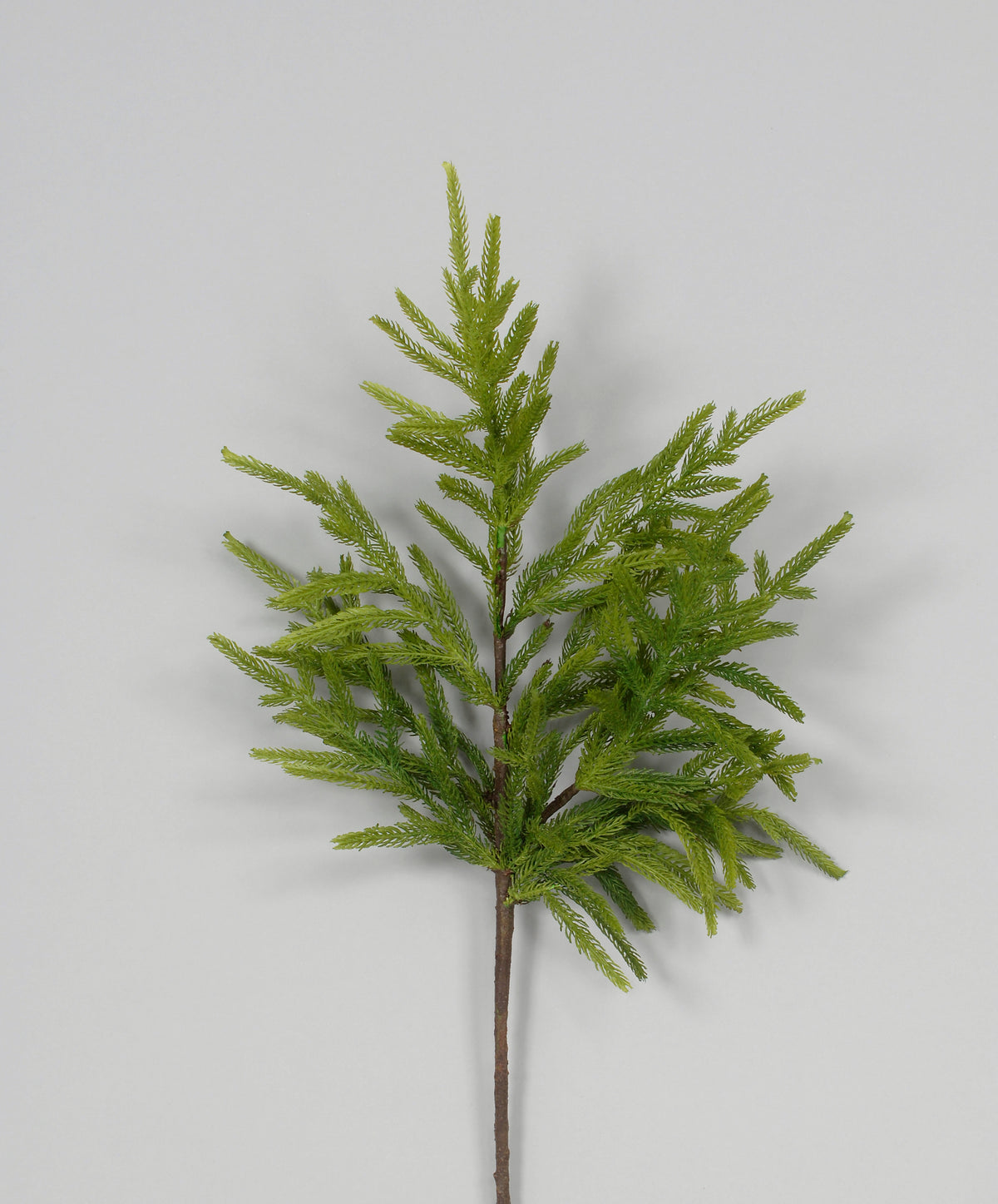34"CYPRESS SPRUCE SPRAY GRN G19523