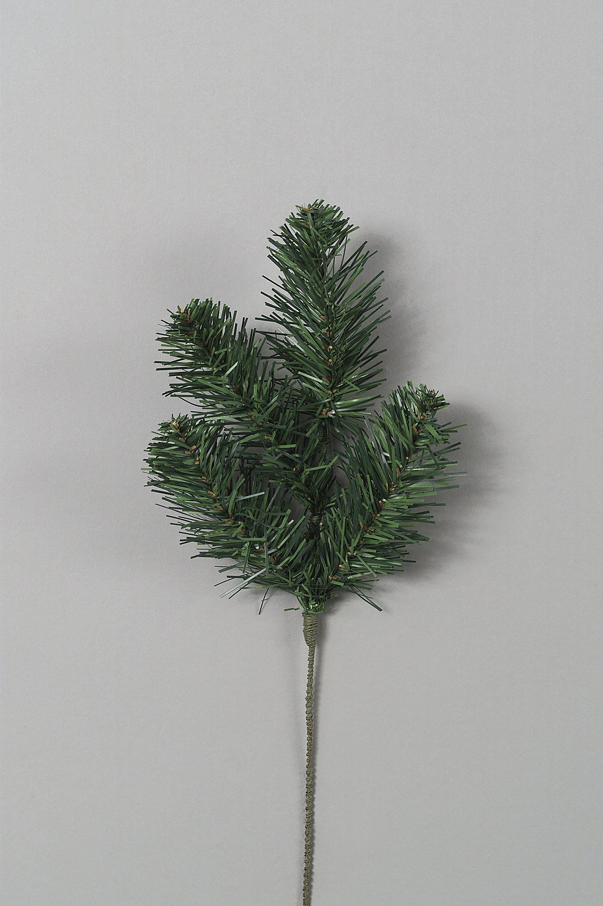 13"BLACK FOREST SPRAY, 6-Pack