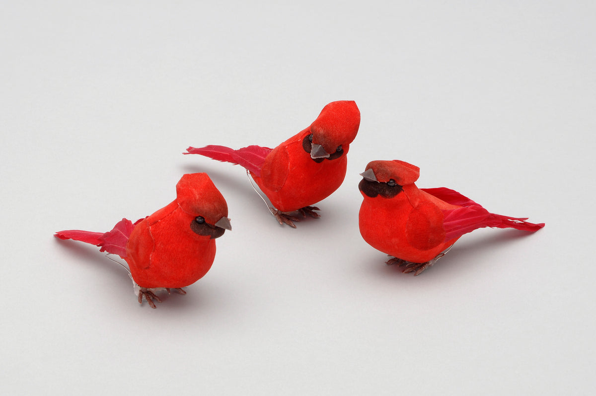 4.25"CARDINAL W-FEATHER TAIL H46450