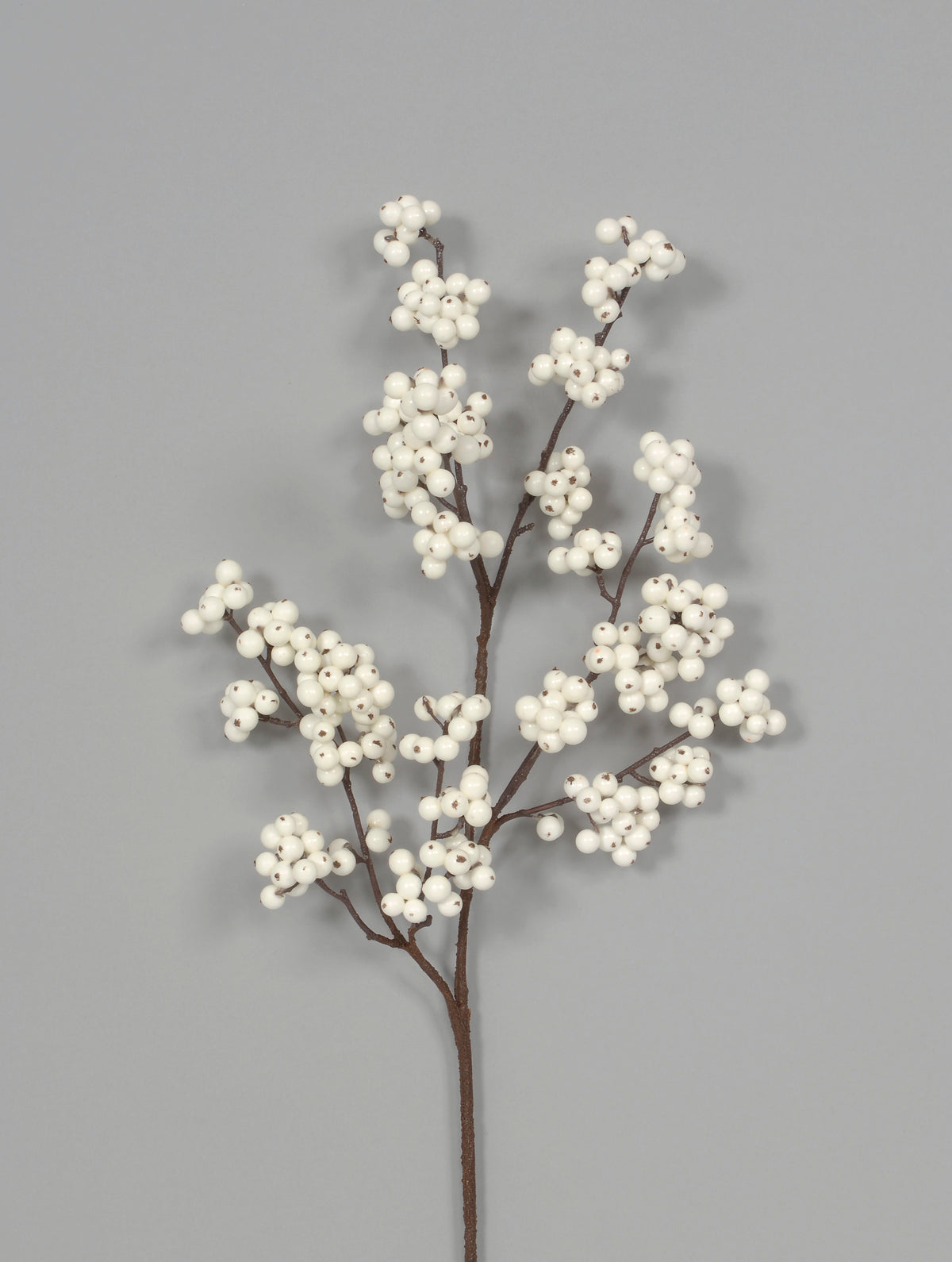 Berry Spray Cream 33"