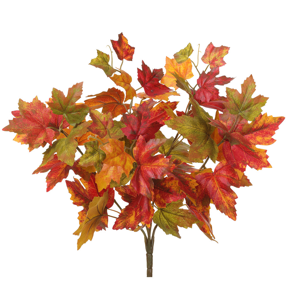 16" Maple Bush x5