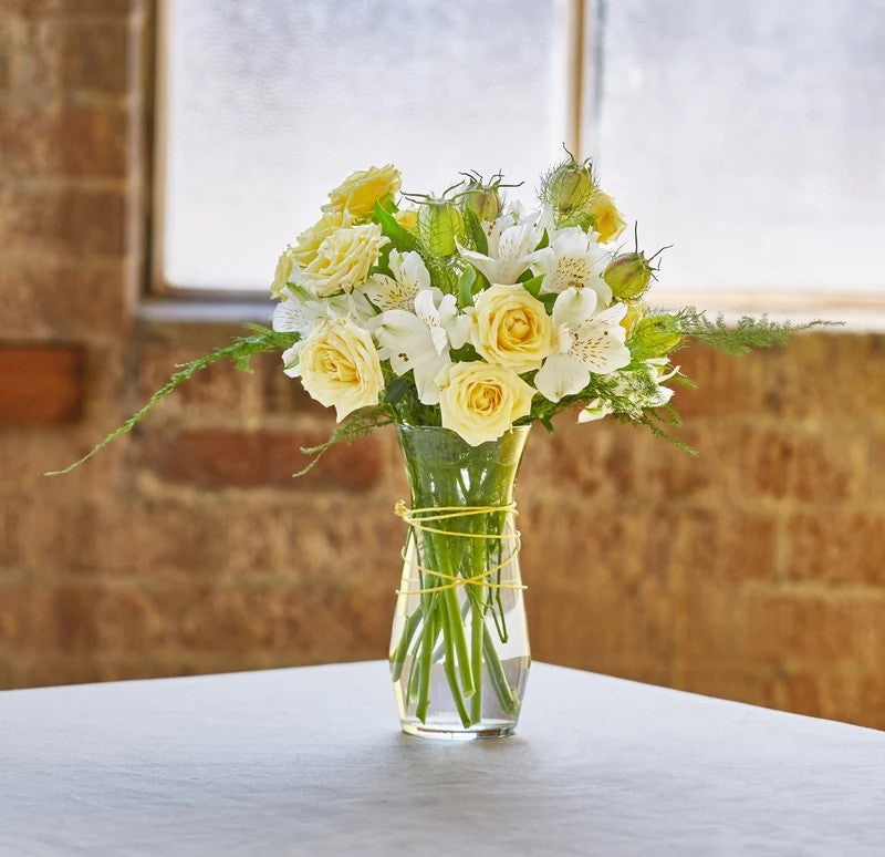 Clear Glass Paragon Vases 8.25", 12-Case