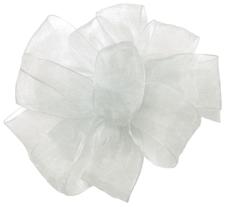 #9 Antique White Sheer Ribbon, 100-Yards