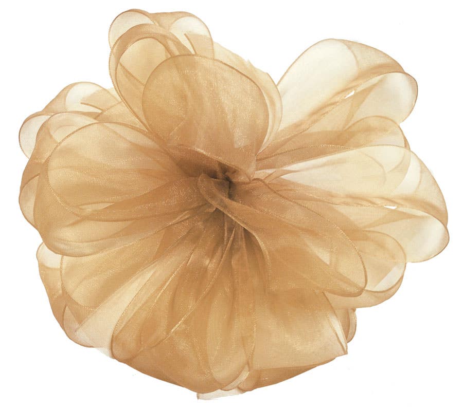 #9 Champagne Sheer Ribbon, 100-Yards