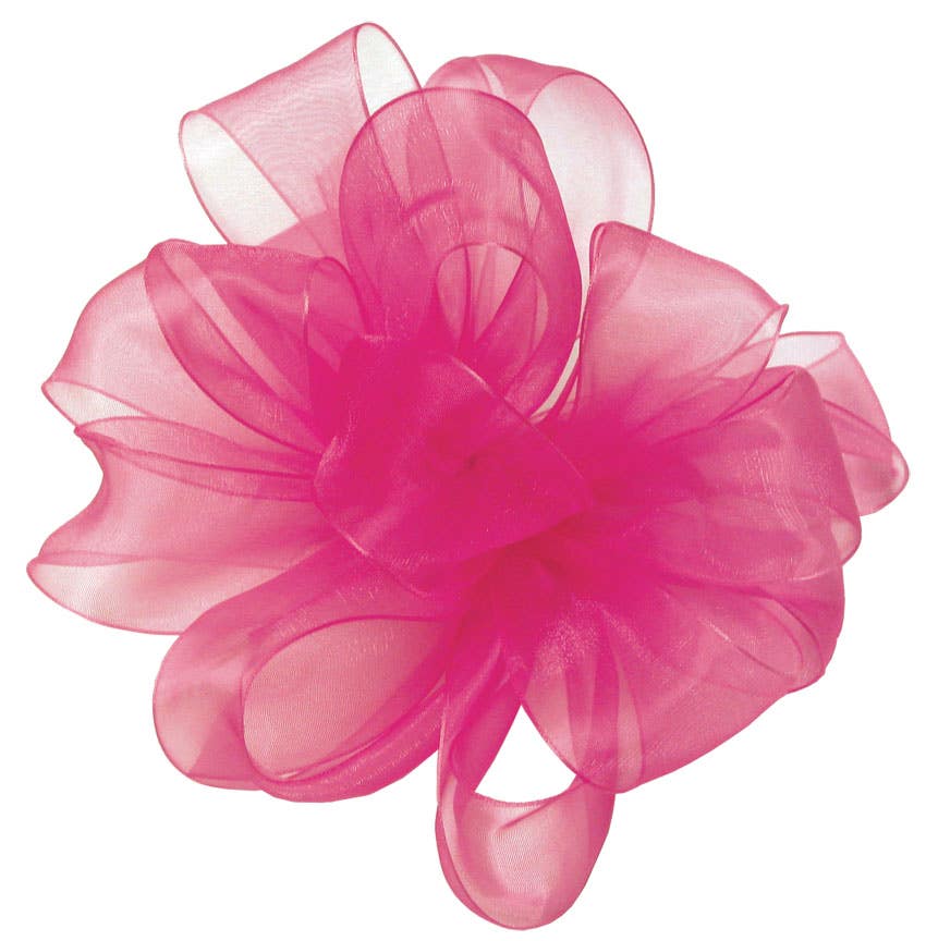 #9 Shocking Pink Sheer Ribbon, 100-Yards