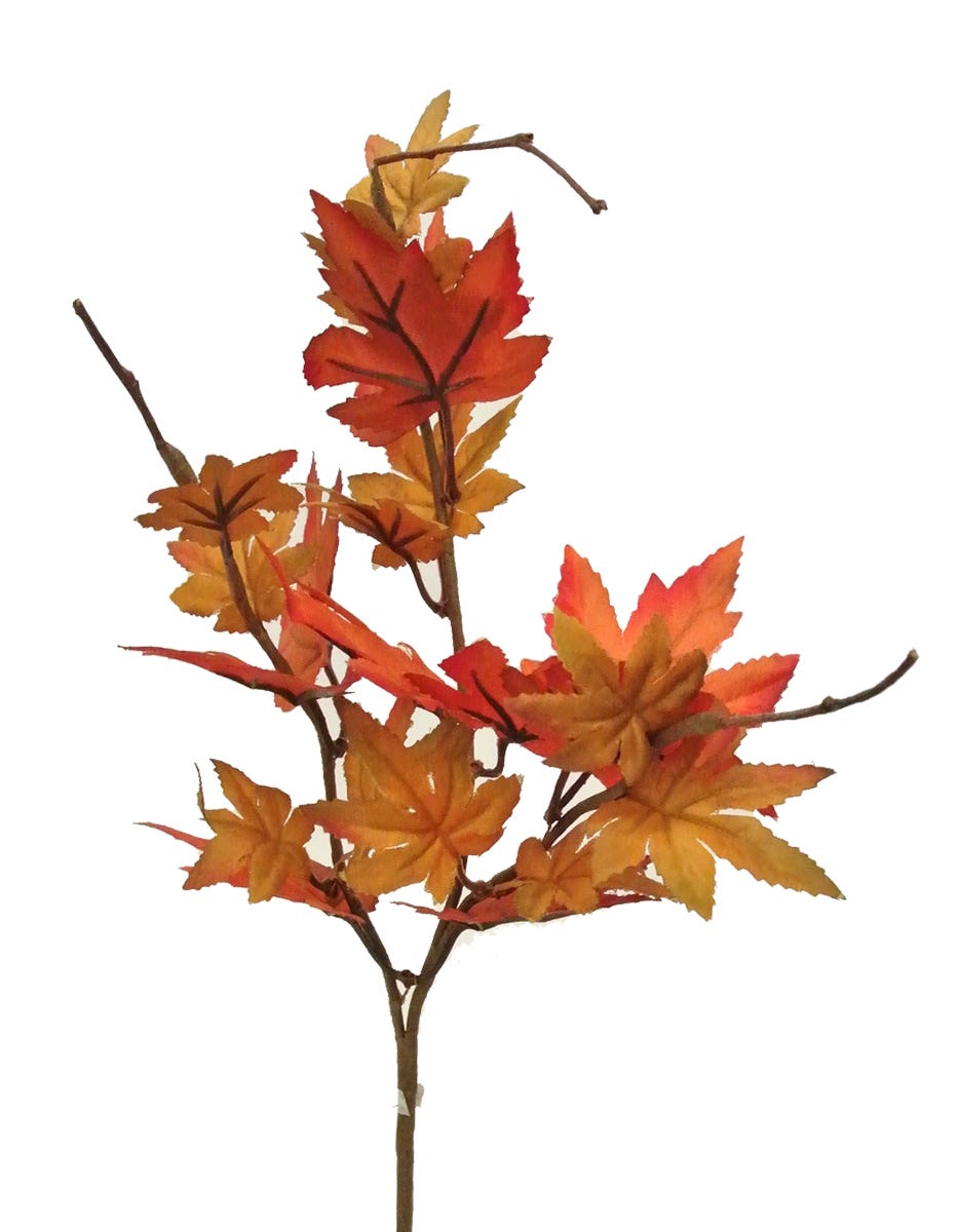 14 Maple Autumn Pick