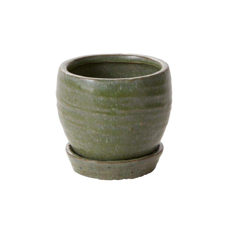 3.5 Green Bradford Pot, 32-Case