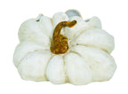 White Ceramic Pumpkin on Side