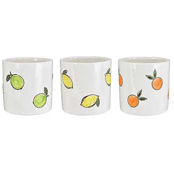 3 Assorted Ceramic Citrus Pot