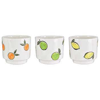 Ceramic Citrus Pedestal Pot 3 Assorted
