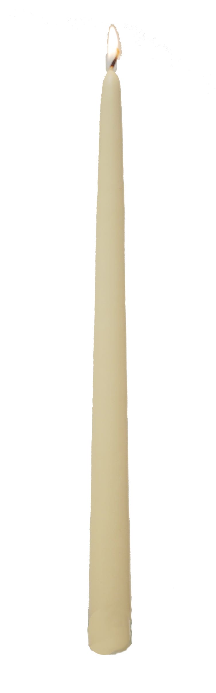6 Wrapped Ivory Taper Candle, 12-Box