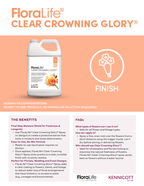 Crowning Glory Solution Spray 32 oz Product Guide