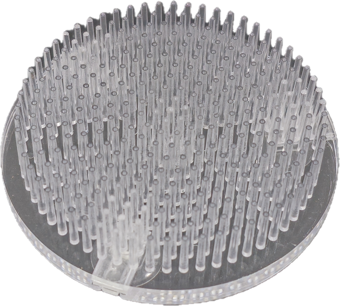 Clear Plastic Pin Frog 3