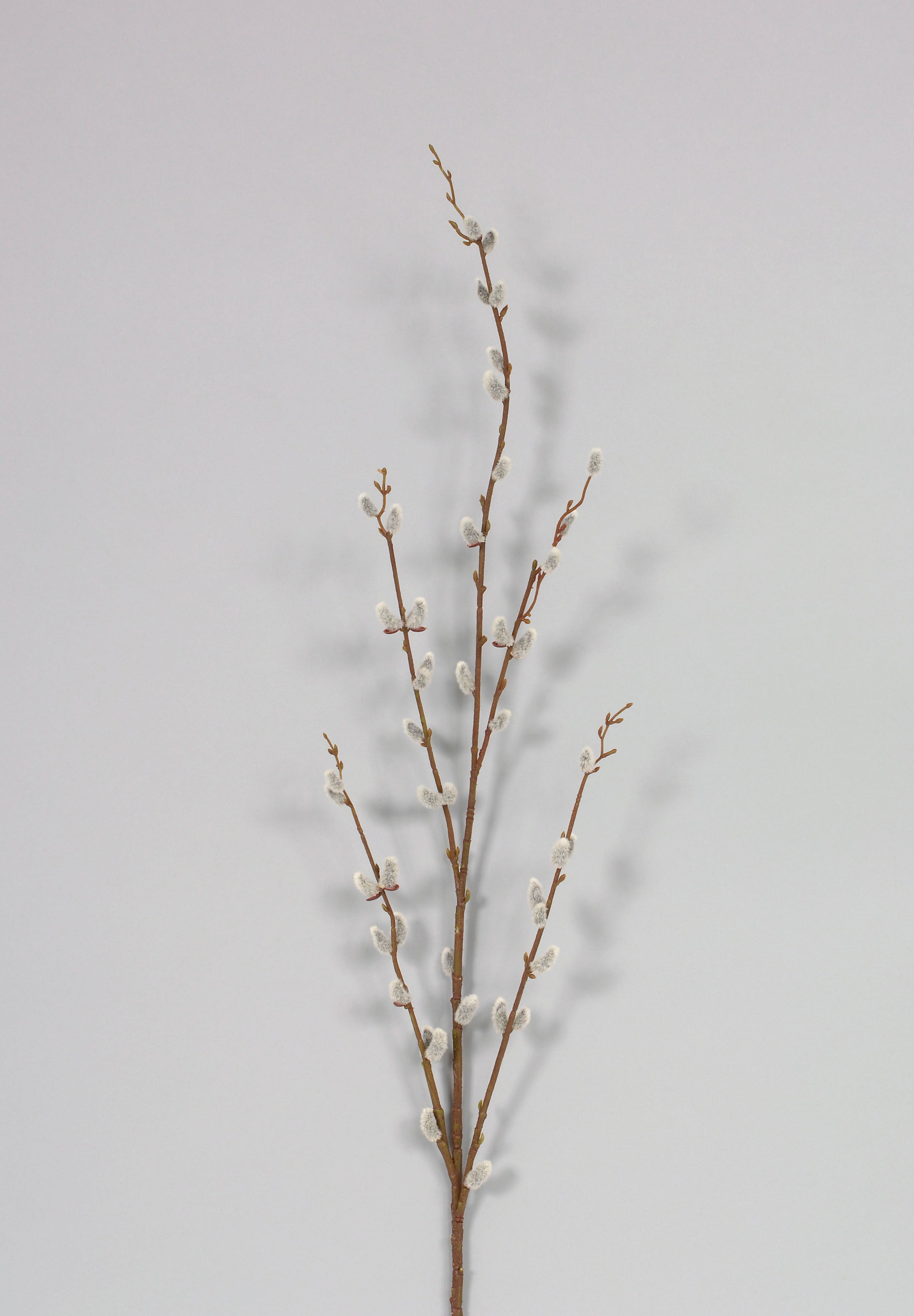46 Grey Flocked Pussy Willow Spray