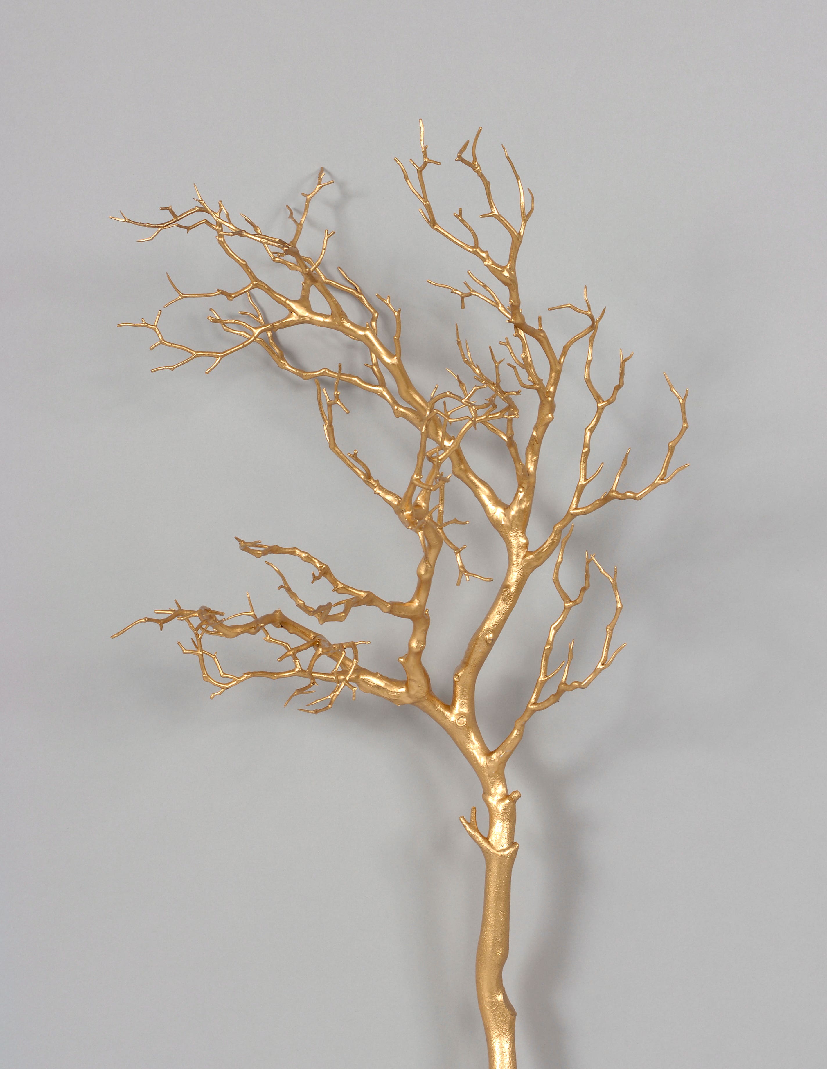 36 Metallic Gold Manzanita Branch