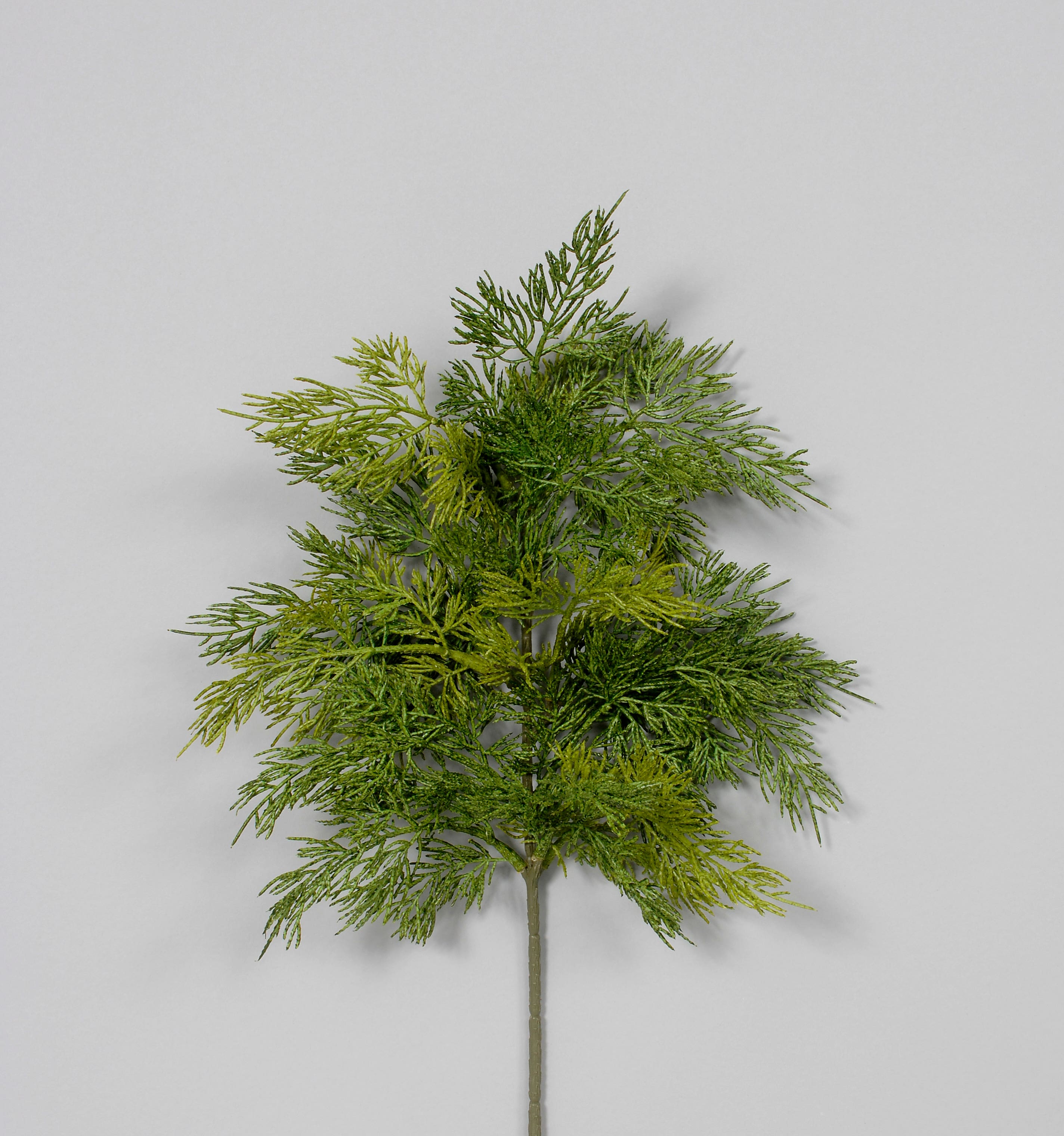 20 Green Juniper Spray, 6-Bag