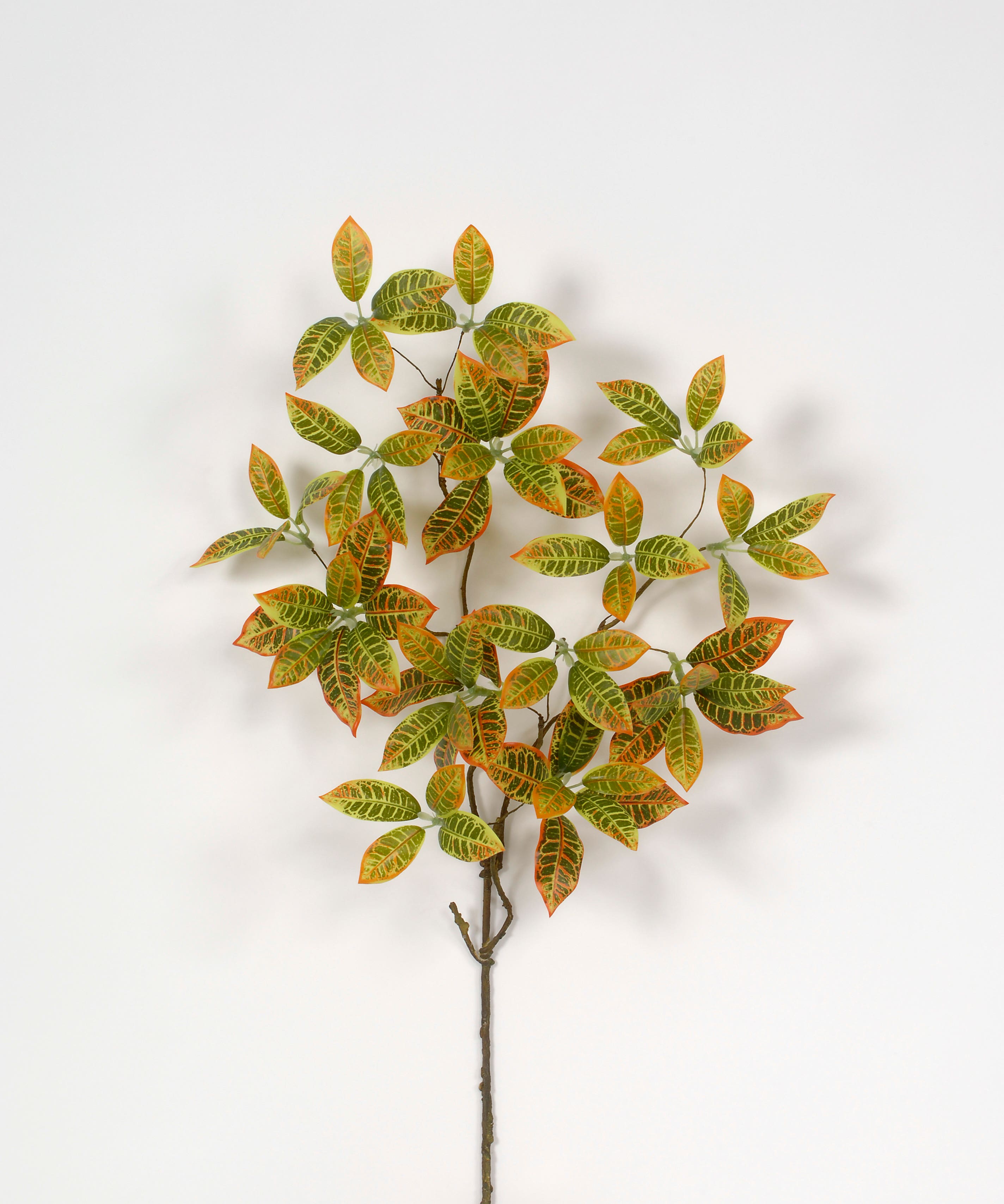 37 Orange/Red Garden Croton Spray