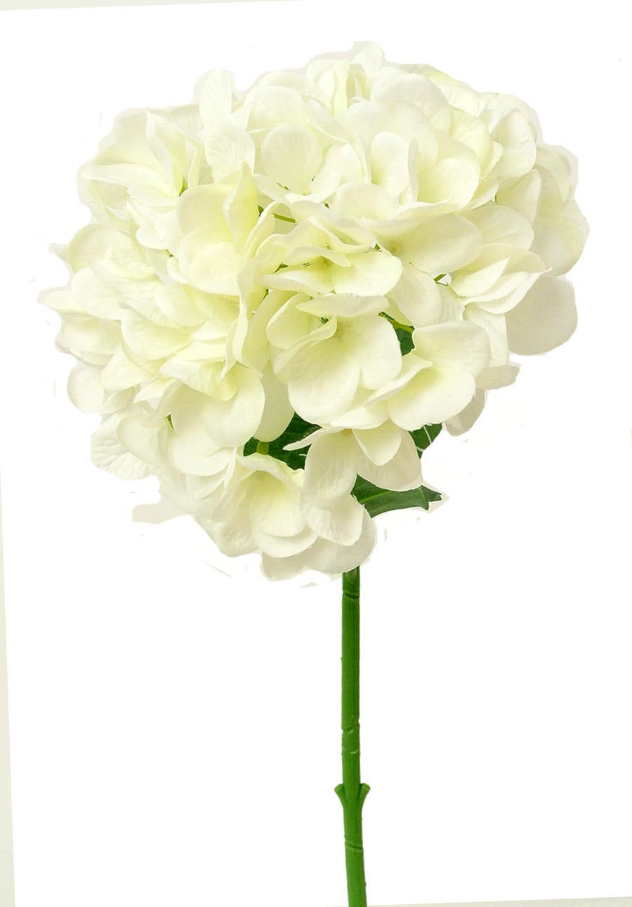 18.5 Cream Garden Hydrangea