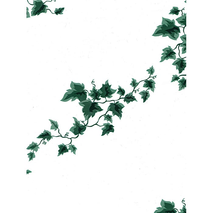 8 x 36 English Ivy Plant Sleeves, 10