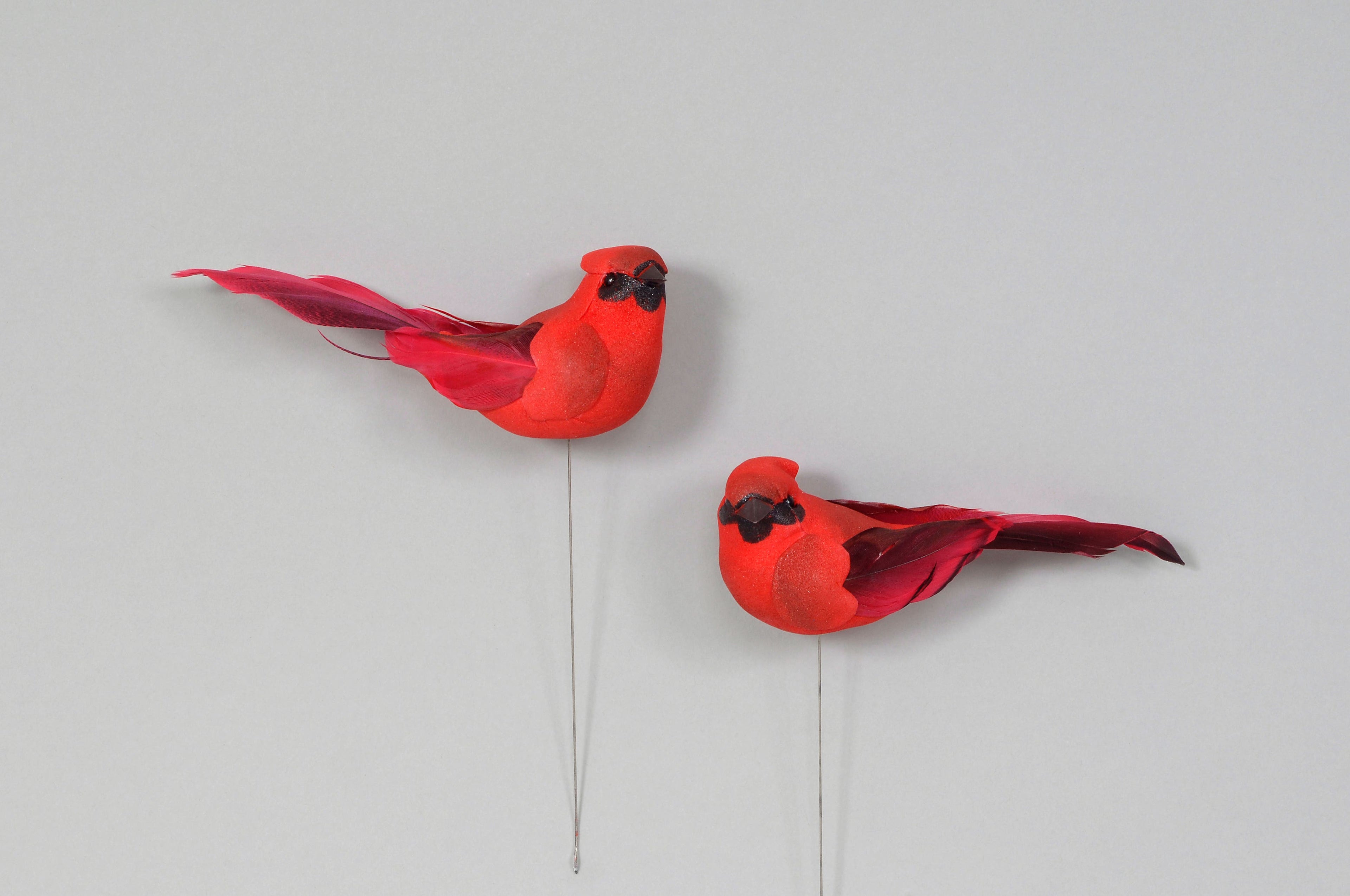 4.25 x 1.5 Feather Cardinal Pick