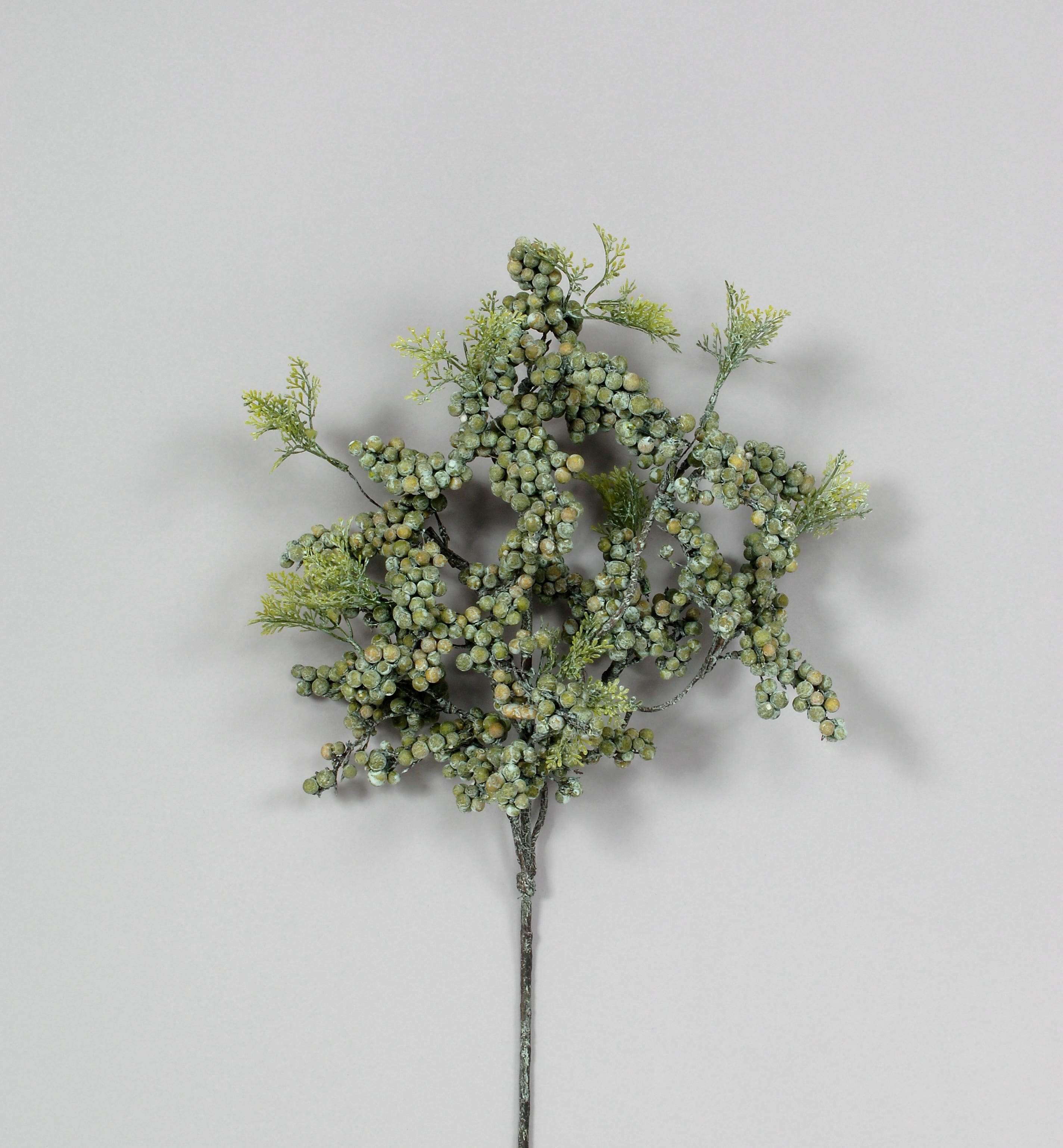 32 Green Cluster Berry Spray