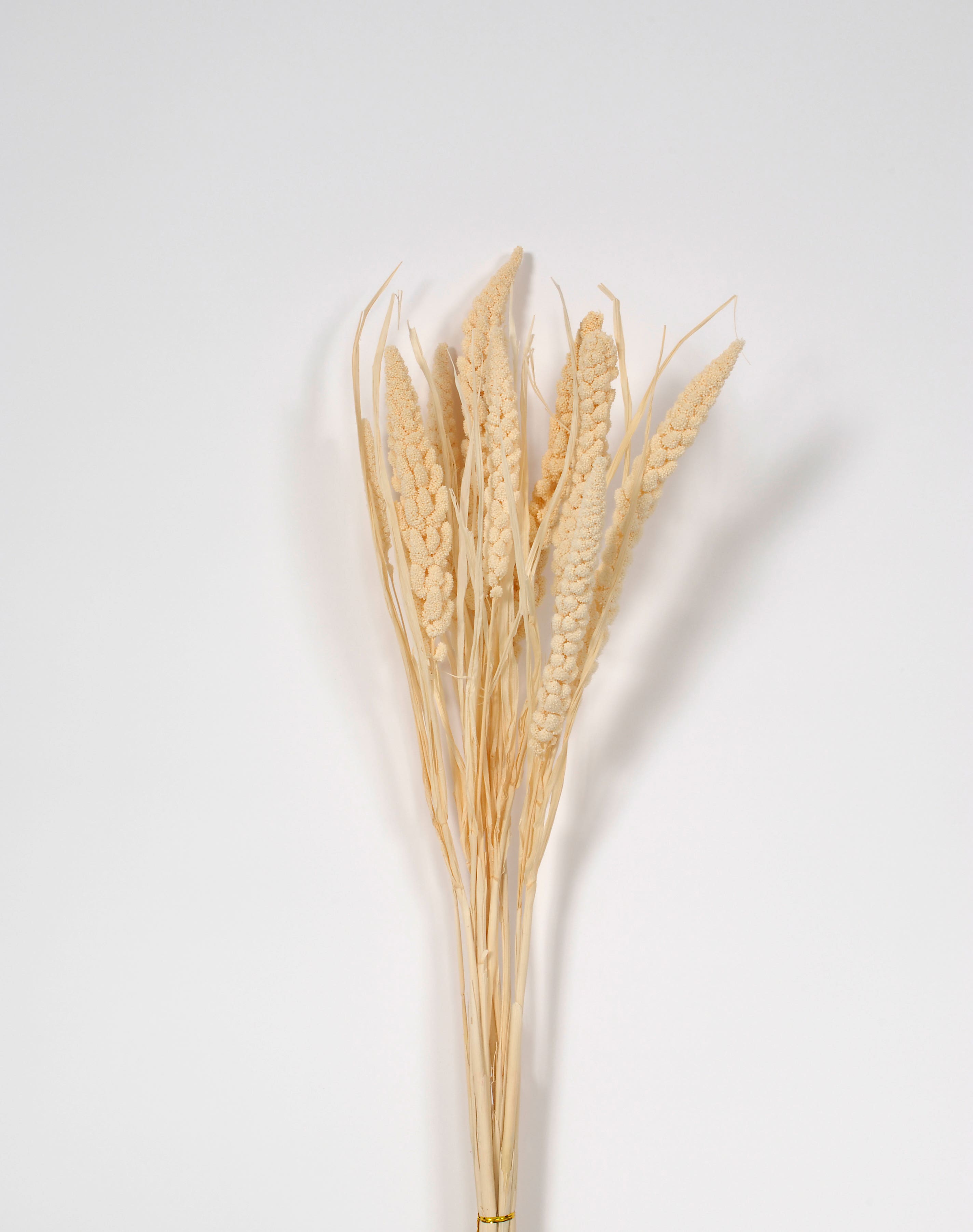 29 Creamy Dried Millet Bundle
