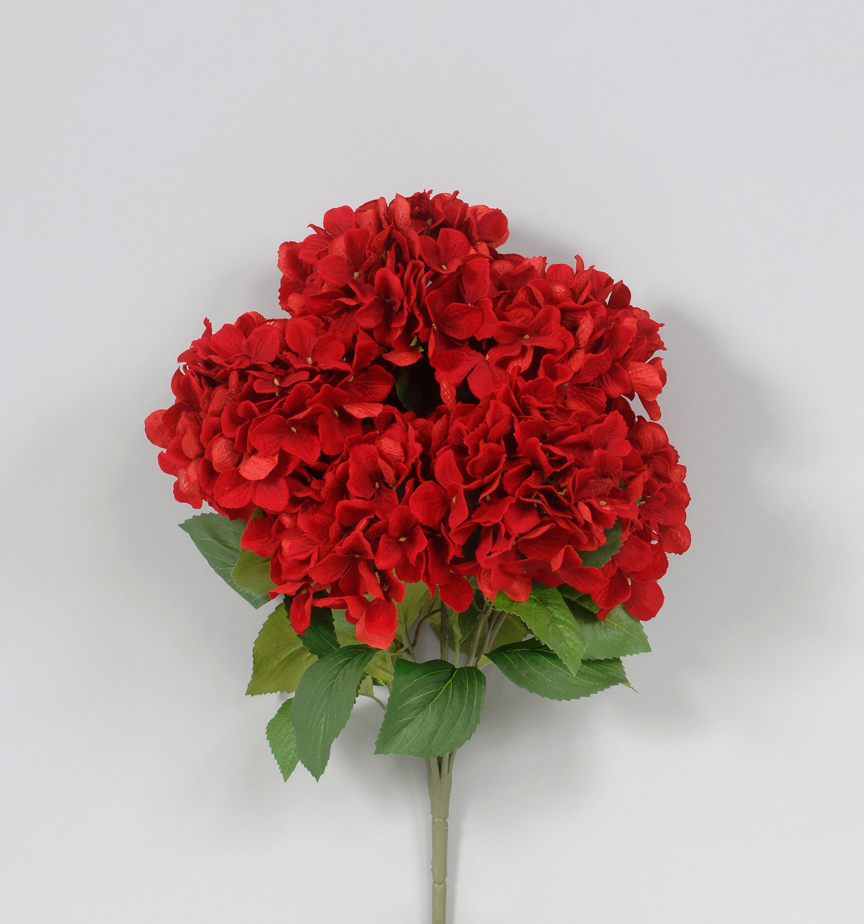 21.5 Red Hydrangea Bush