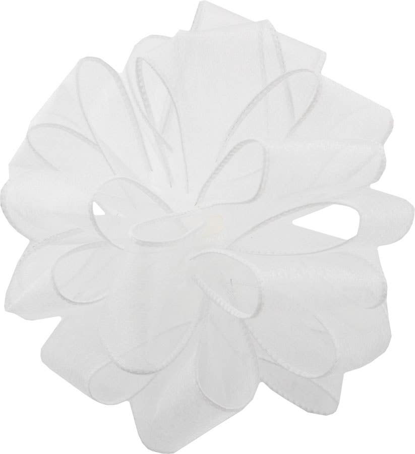 #9 White Sheer Wired Ribbon, 50-Yards