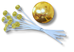 Kara's Kisses Beauty Gold Single Rhinestones, 12-Pack