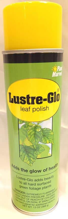 13 Ounce Leaf Shine