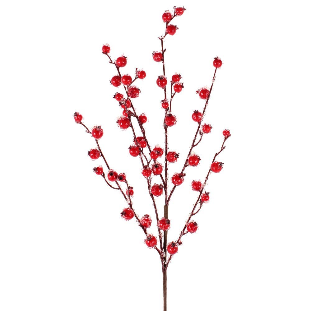 30 Red Mini Pomegranate Iced Spray
