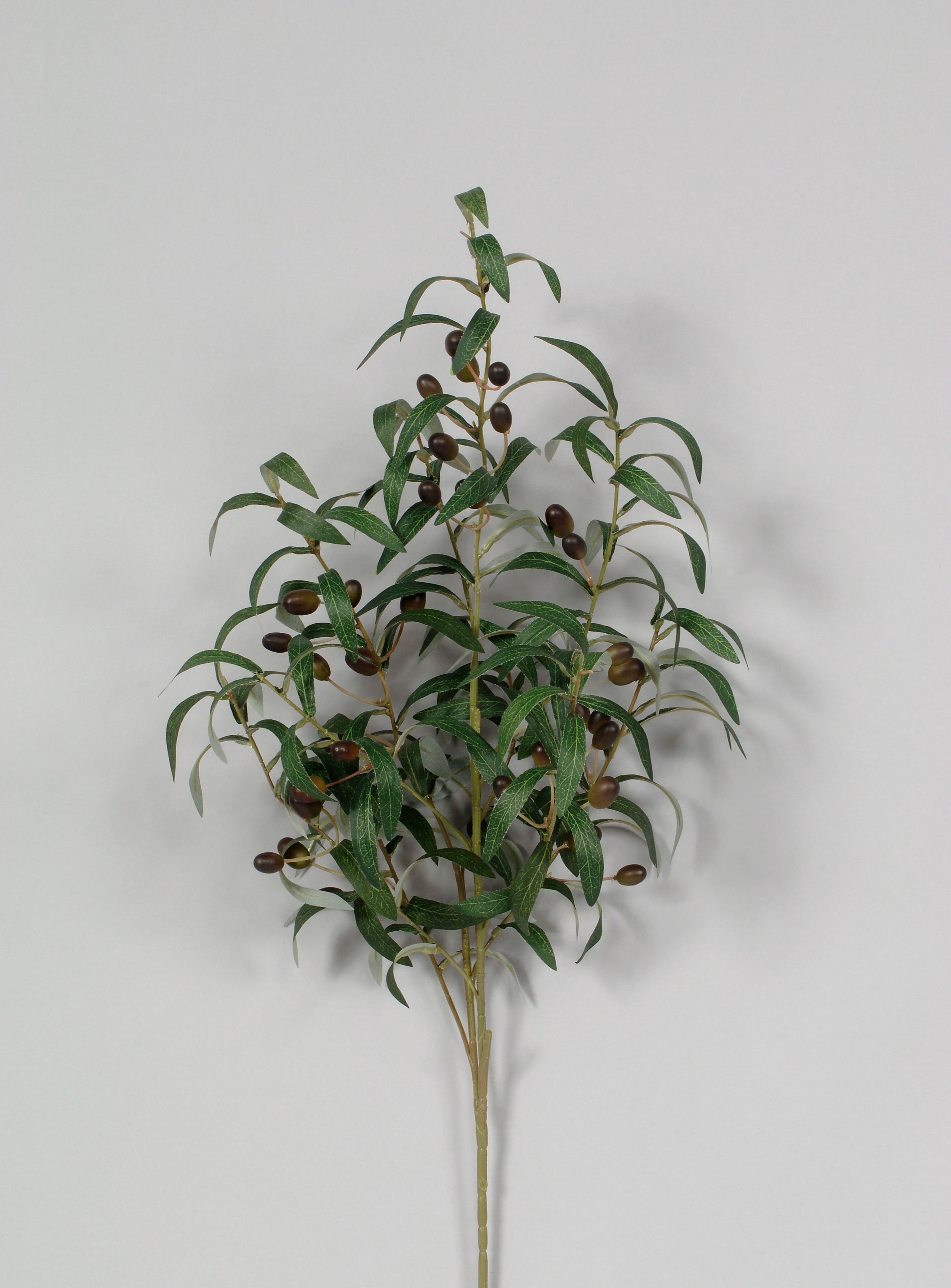 40 Dark Green Olive Branch