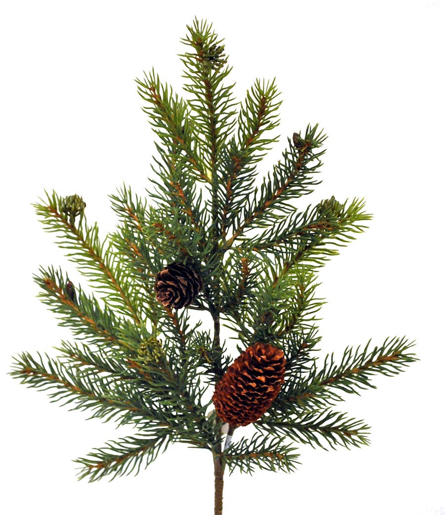 16 Green Spruce Pine Pick