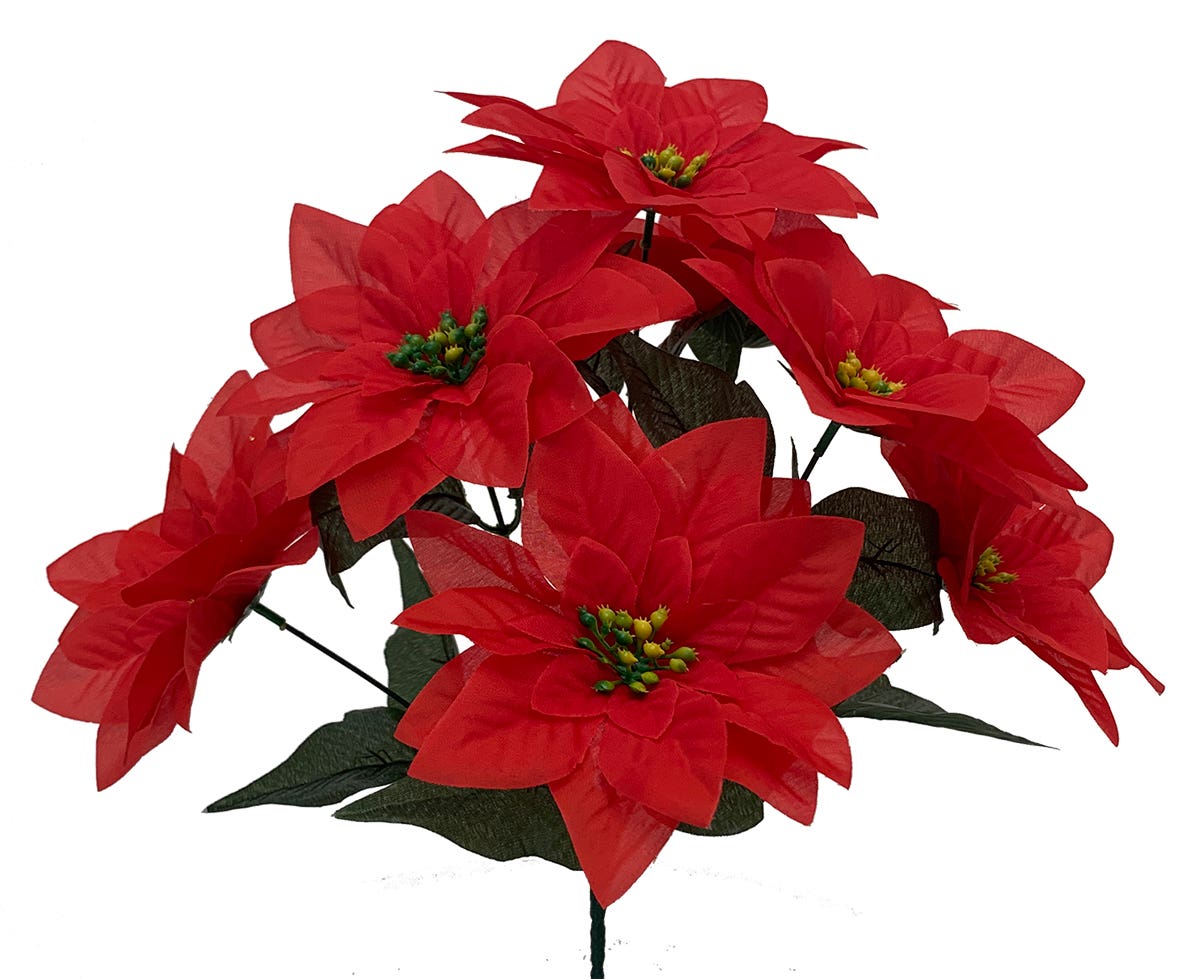 15 Red Poinsettia Bush