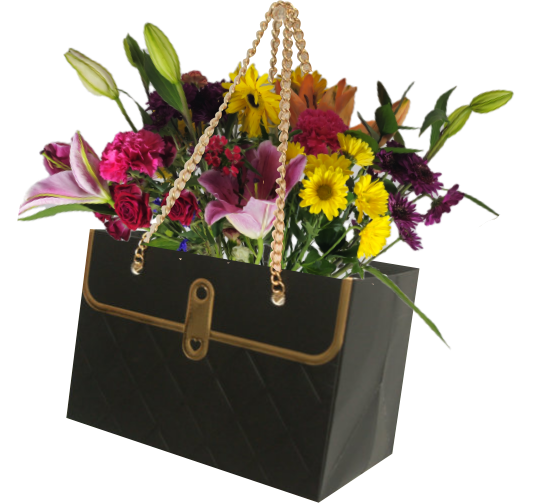 Pretty Little Purse Container Black With Chain Handle, 12-Pack