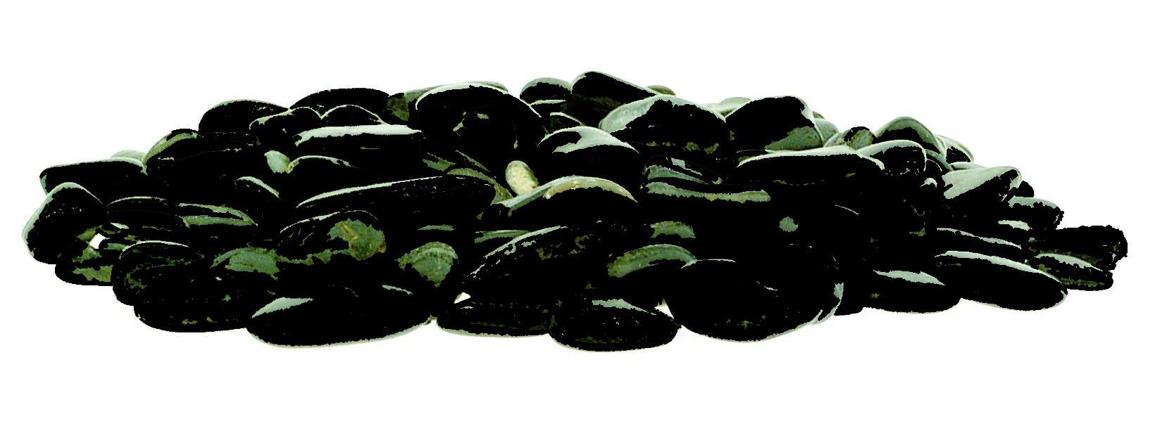 5 lb Bulk Black Polished River Rocks
