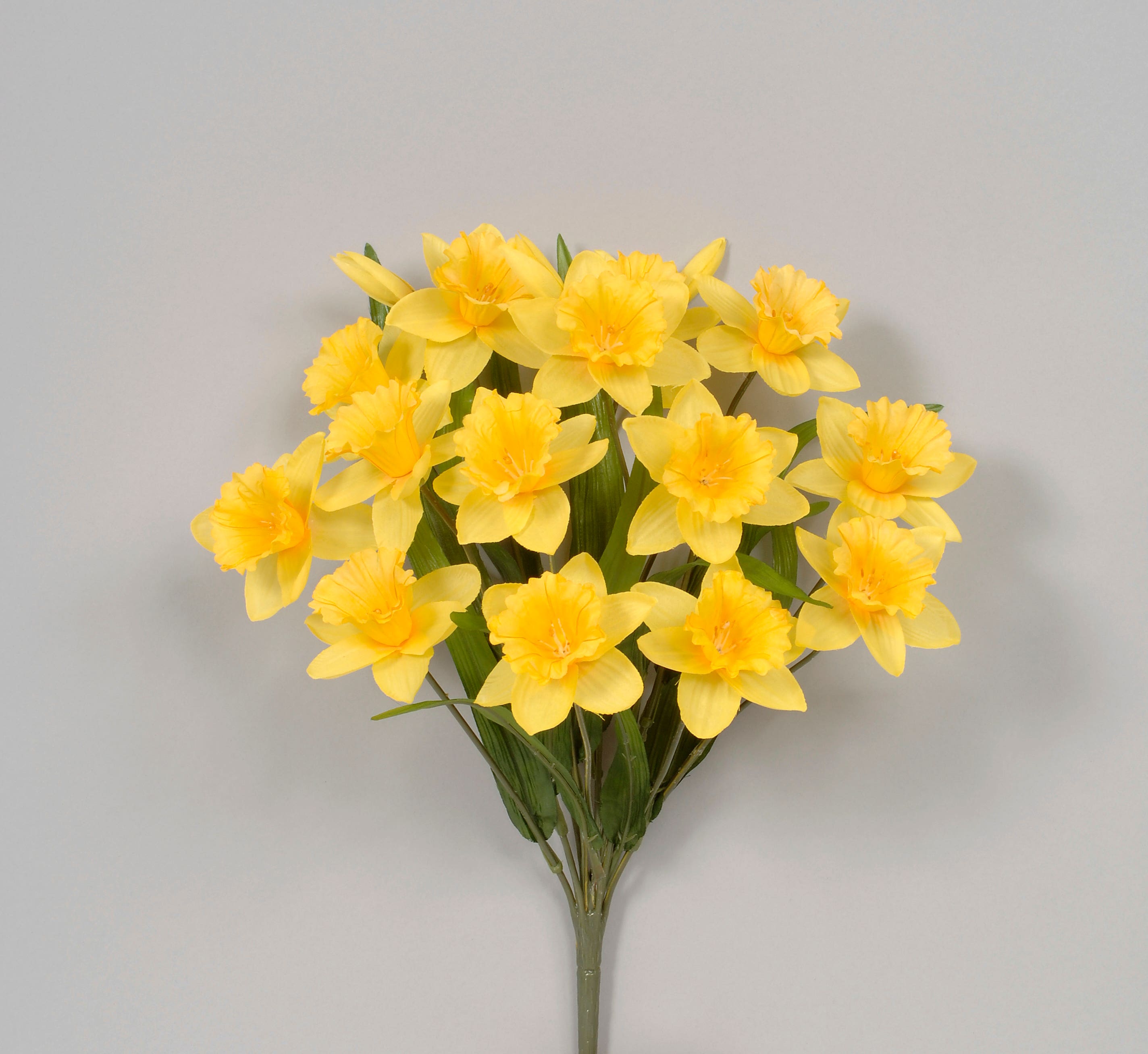 18 Golden Yellow Daffodil Spray