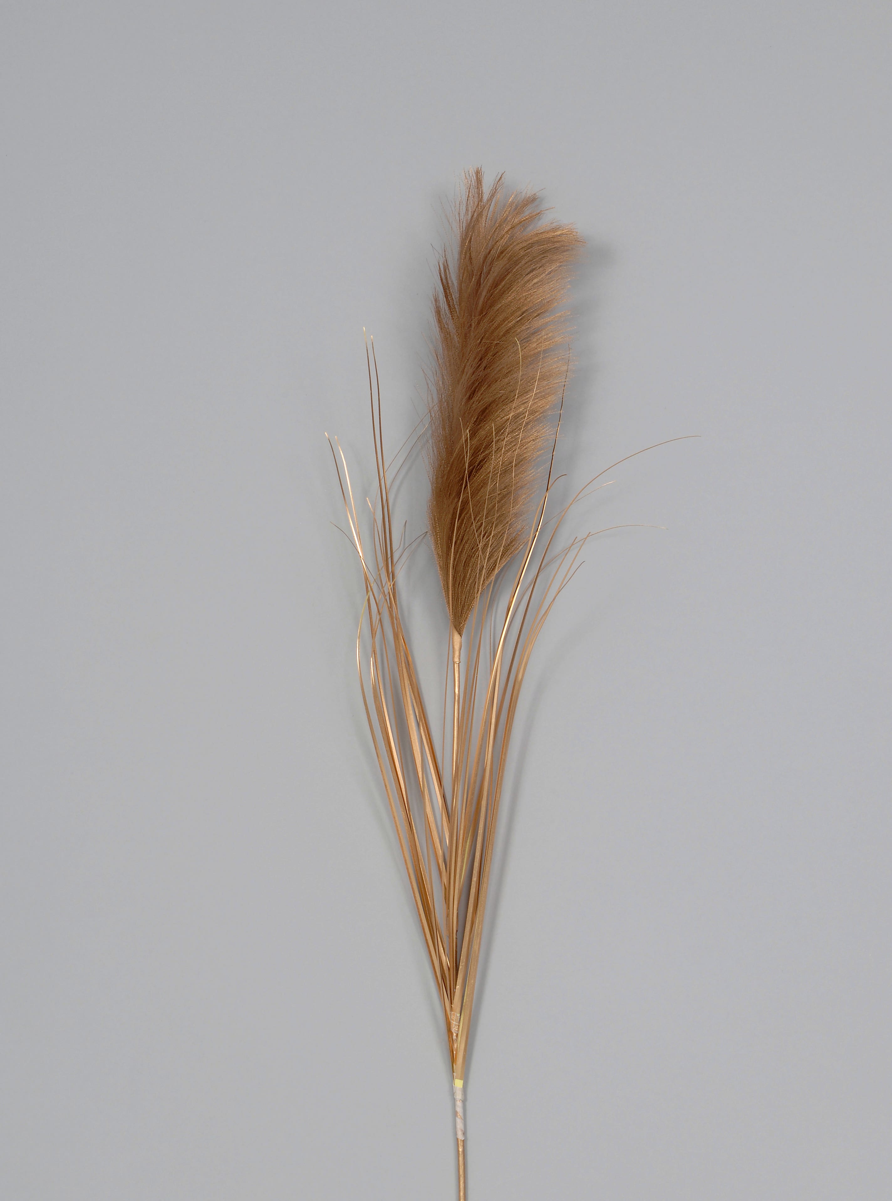 42 Gold Pampas Spray